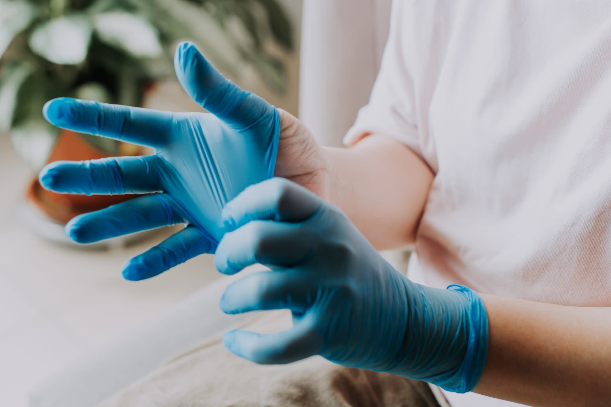 A woman putting on blue latex gloves