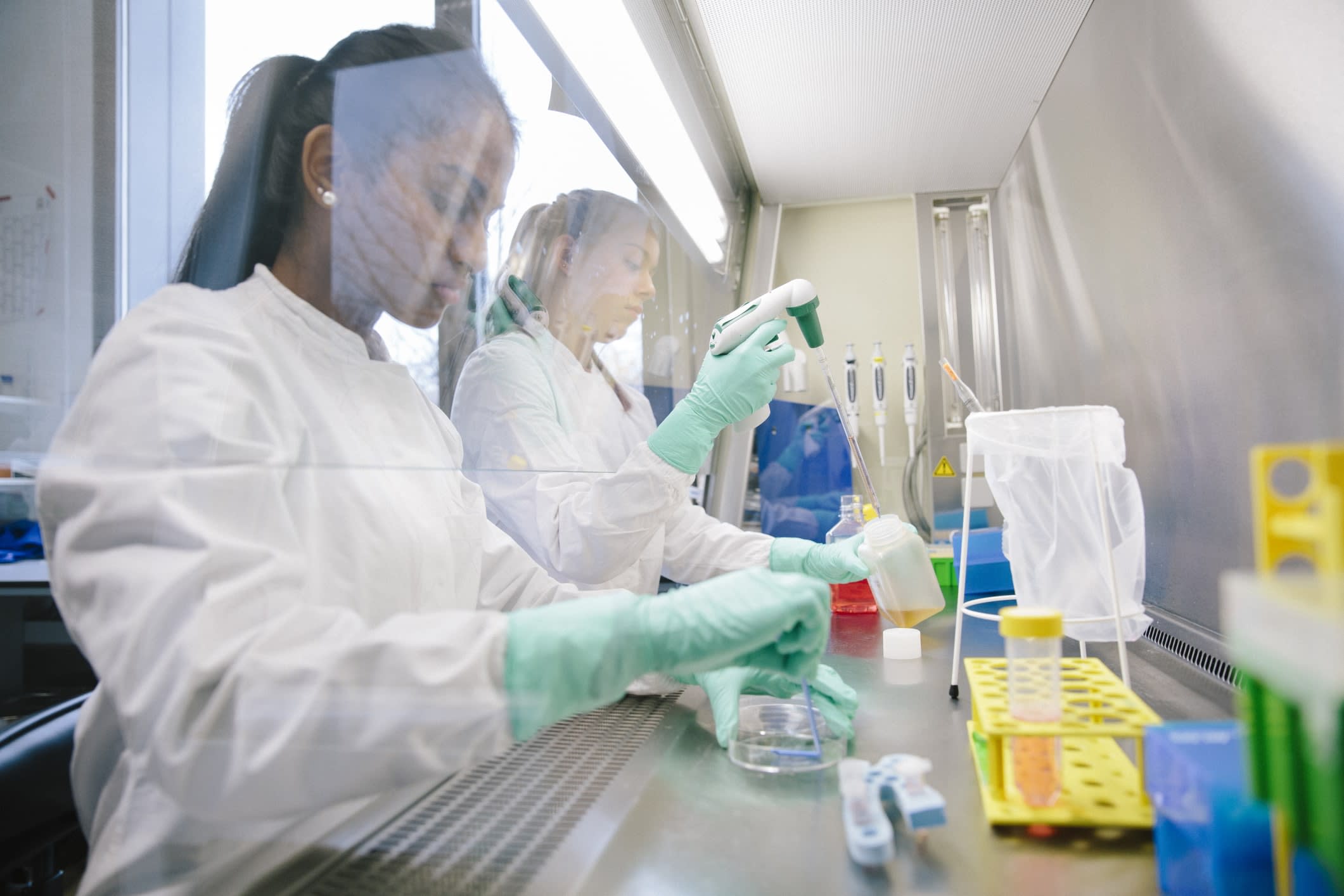 Two female scientists working at a work bench in a laboratory 
