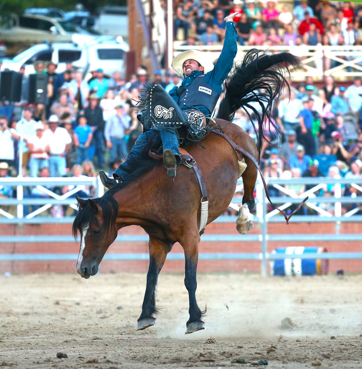 Cooma Rodeo 2024