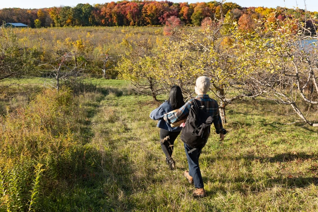 Two backpackers in an apple orchard walkiing.