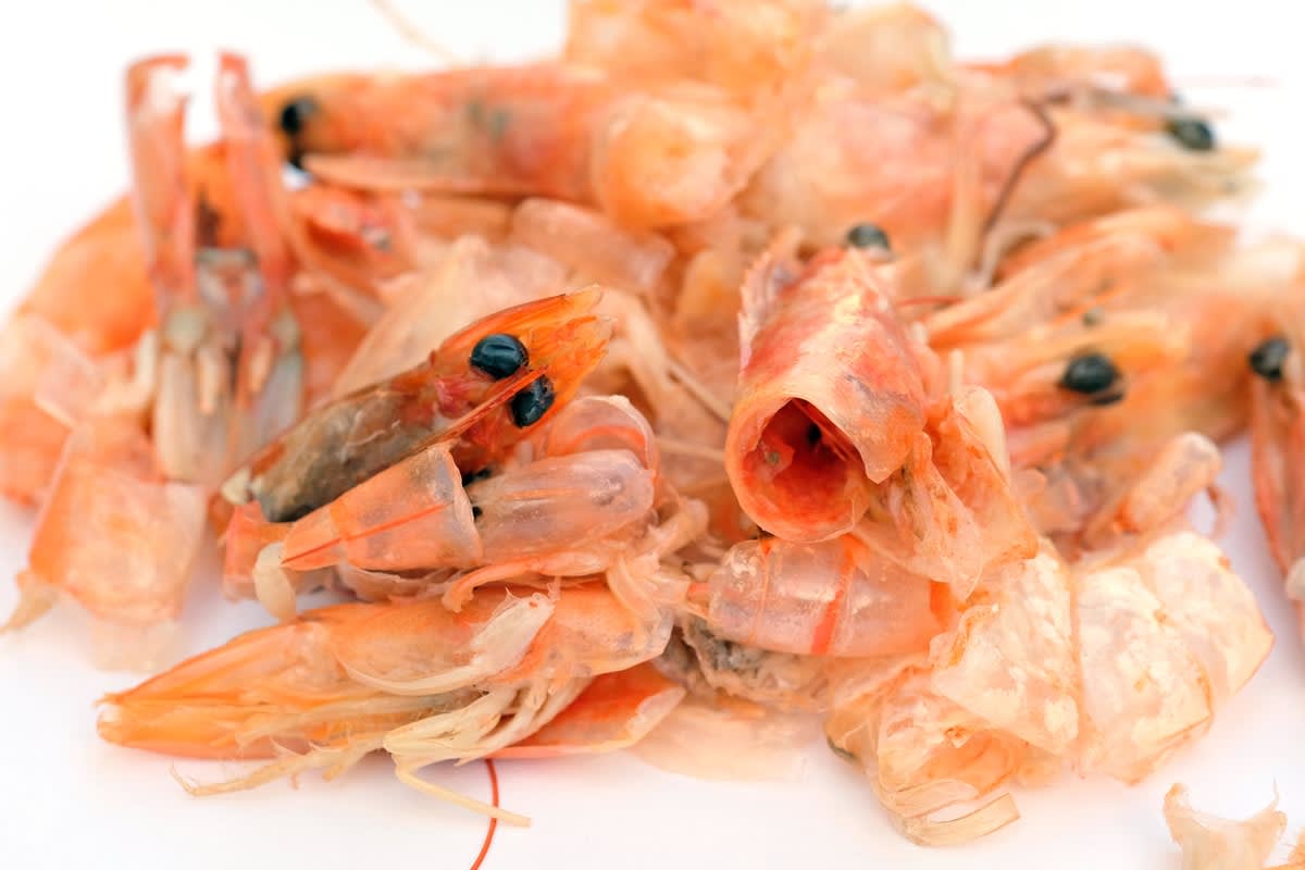 A pile of prawn shells