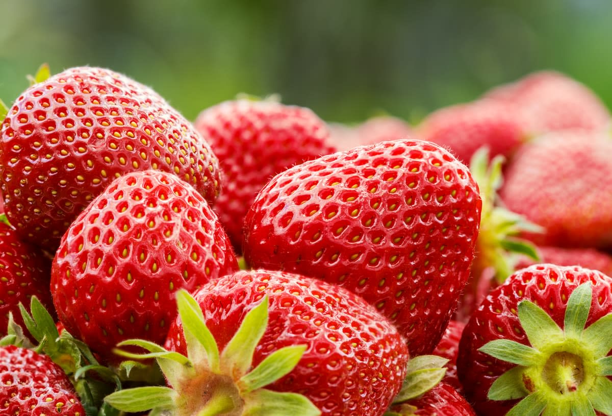 Close-up of ripe strawberries