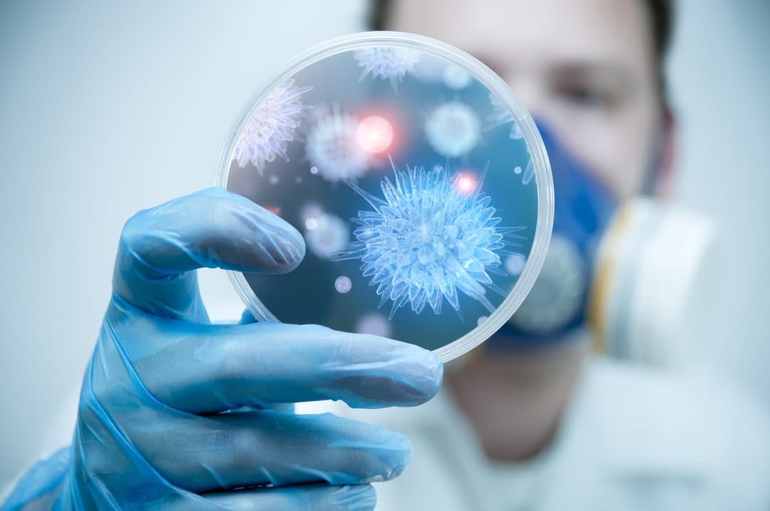 A scientists studies bacteria in a laboratory.