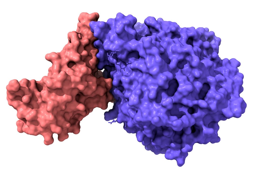 covid vaccine spike protein danger