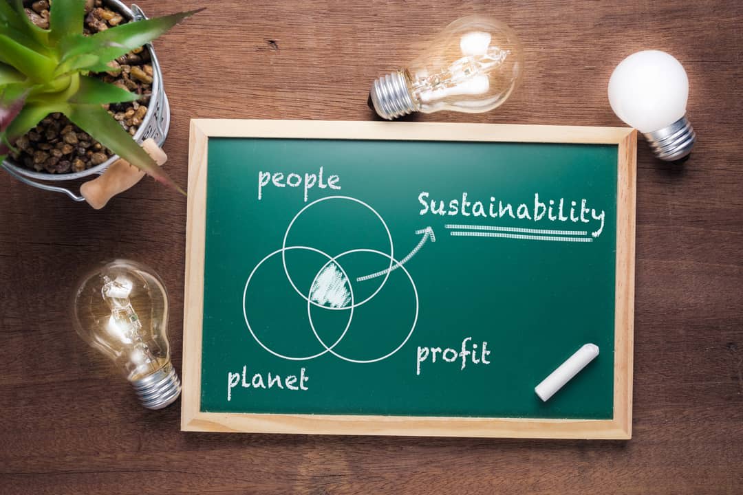 Sustainability topic and union chart of people, planet and profit on chalkboard with glowing light bulbs