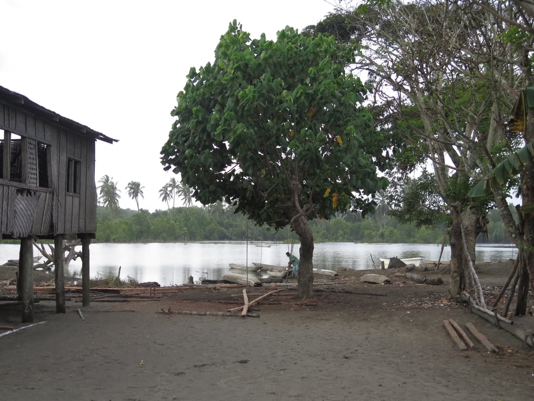 A village on Orokolo Bay. 