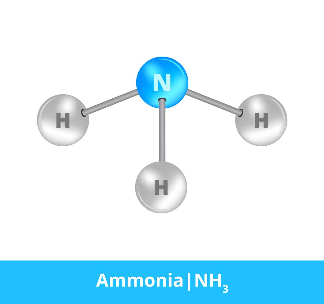 A rendering of an ammonia molecule comprising nitrogen and hydrogen