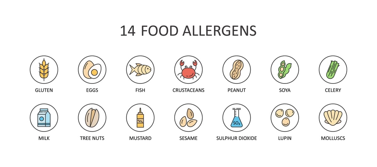 Illustration depicting 14 food allergens, including gluten, soya etc