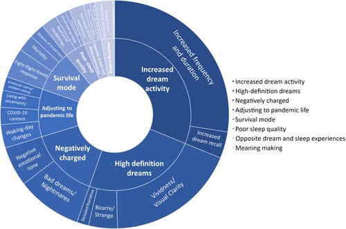 Sunburst diagram outlining the number of codes within pandemic dream change themes/subthemes