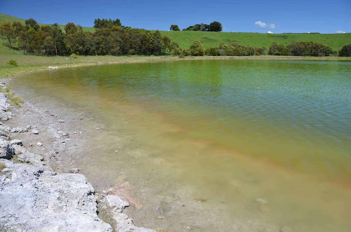 The shoreline of West Basin Lake showing ancient, fully-formed microbialite structures on the left