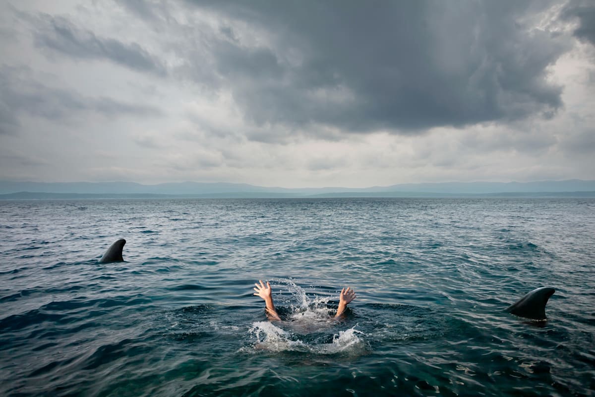 Woman in water surrounded by sharks.
