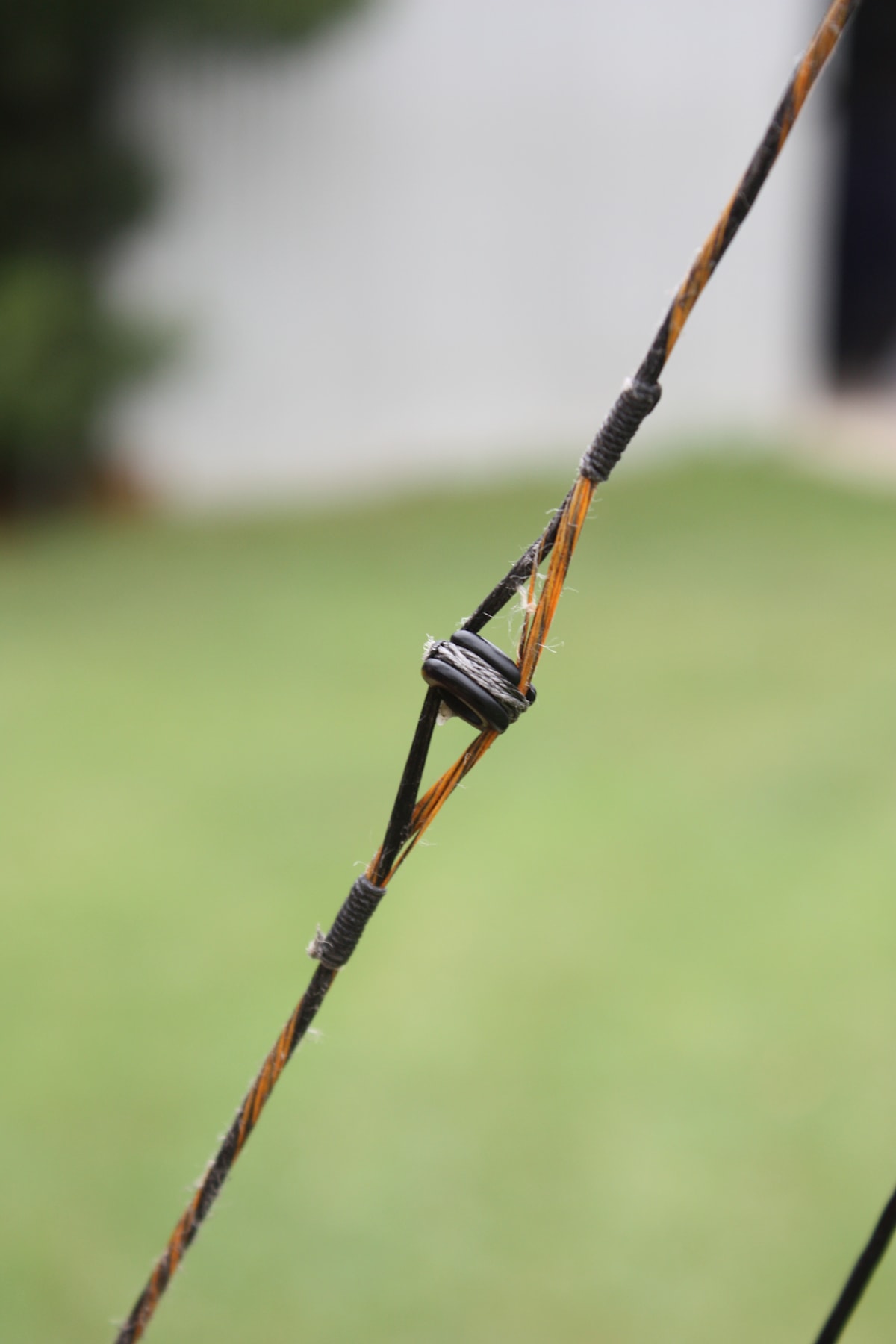 Starting out in Bowhunting Australian Deer Association