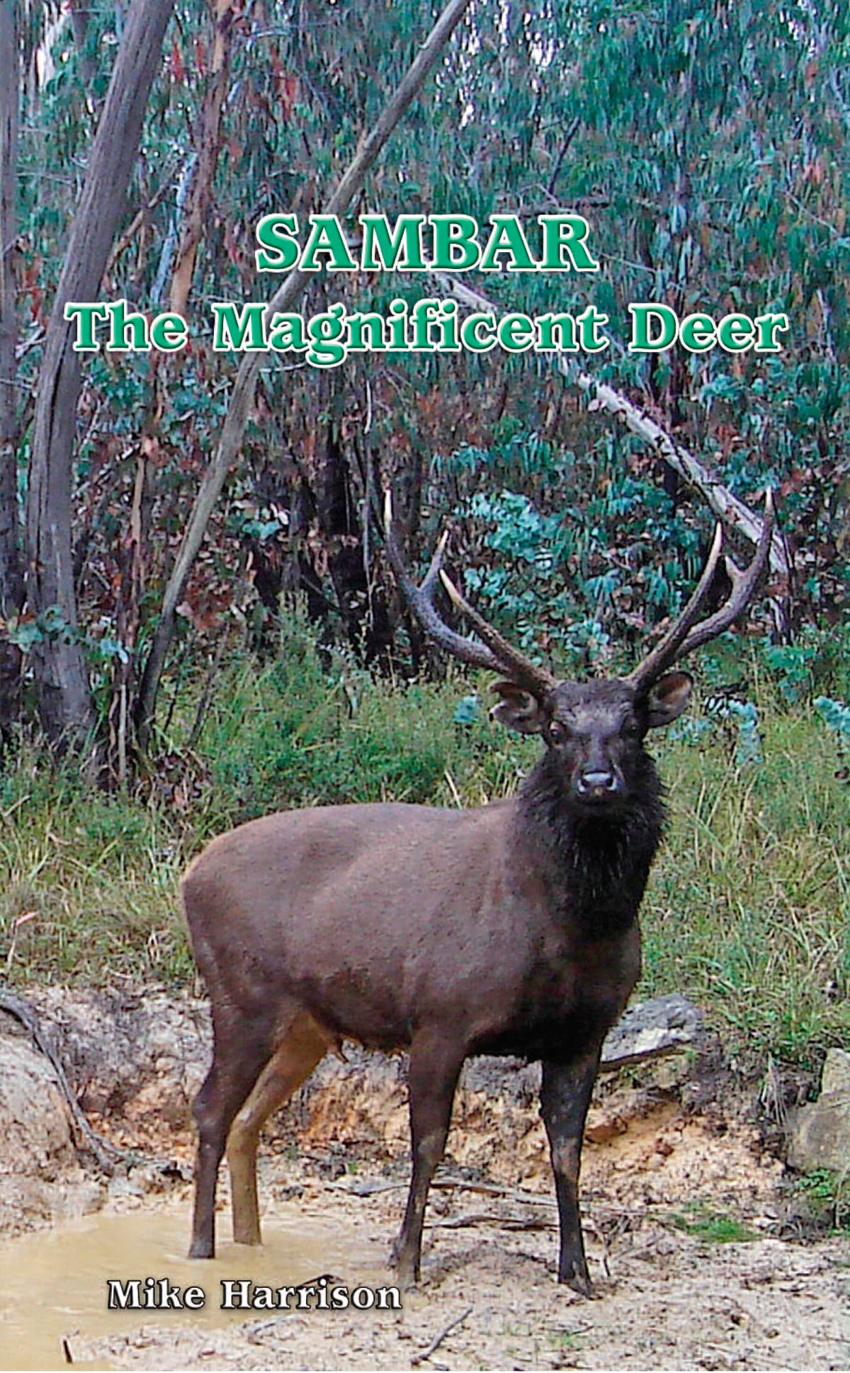 Sambar the Magnificent Deer Australian Deer Association