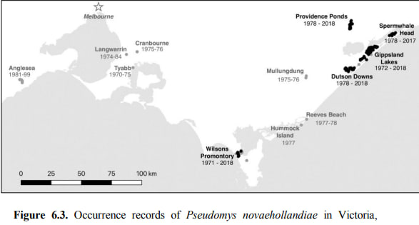 Testing the decline of the threatened New Holland Mouse (Pseudomys novaehollandiae)