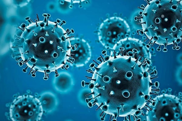 Doctor's vaccine application adjourned