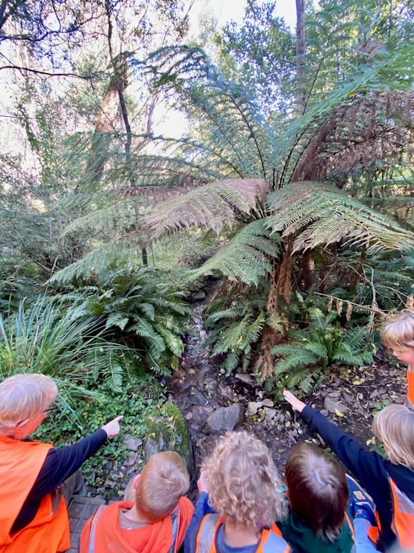 Harrietville Bush Kinder in running for state award