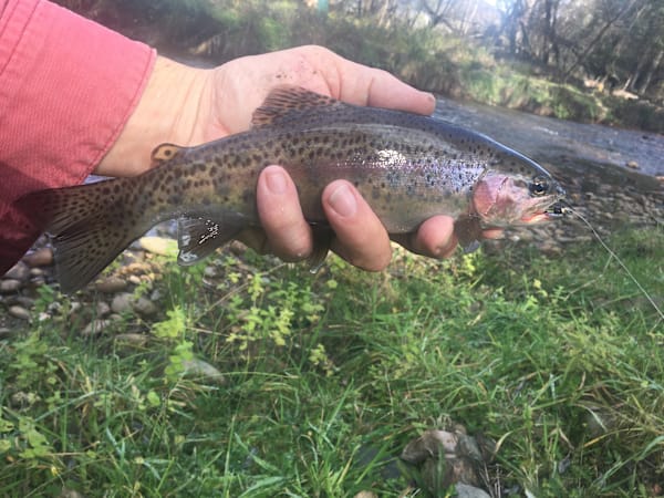 Arb' angling adventure