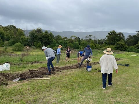 8 great community gardens