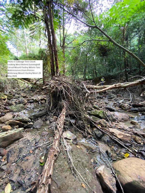 An area of Cabbage Tree Creek on the coastal plain, where intense rainfall can fundamentally alter the path of the creek. Image by Ruth Garland.