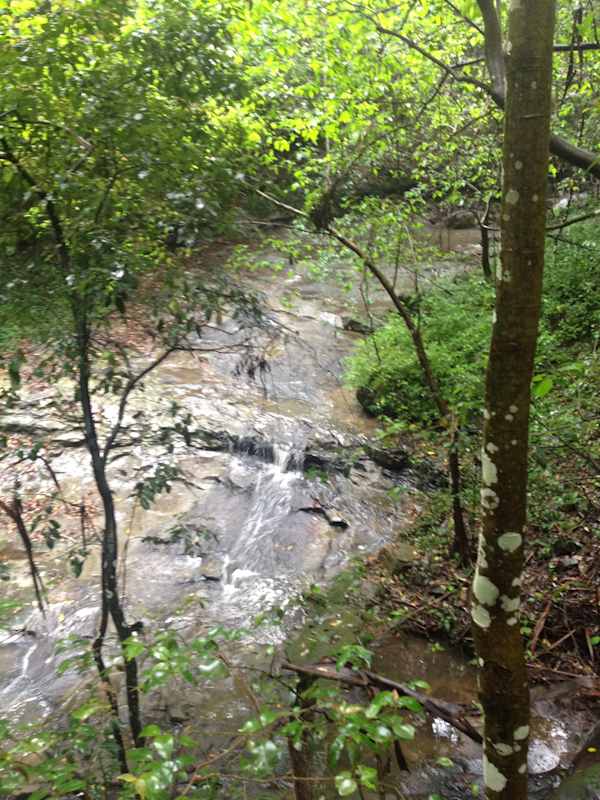 This waterway in the escarpment foothills has had water diverted away from it and is dry most of the time. Here it is shown in full spate after heavy rain. Image by Emma Rooksby.