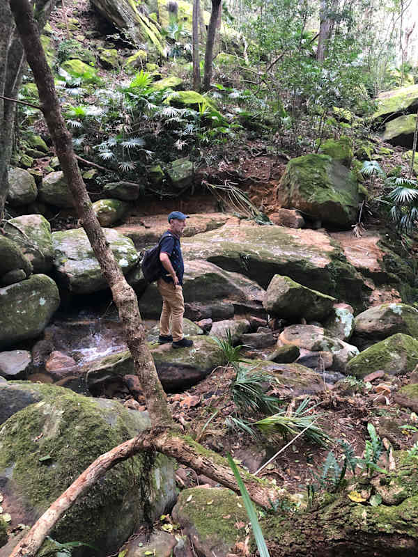 This stunning wide creek within the Illawarra Escarpment State Conservation Area is assessed as a 'Category 1 watercourse' deserving of a 100m riparian zone under Council rules, but only qualifies for a 20m riparian zone under the NSW-wide rules. The Council rules reflect the unique topography of the region. Image by Emma Rooksby.