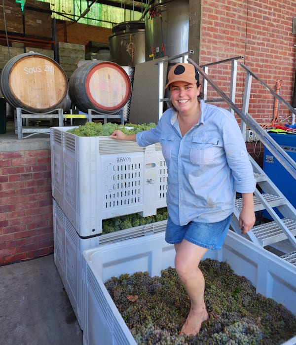 Alpine Valleys' winegrape crush up on volume, value
