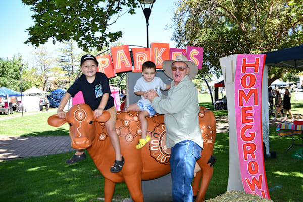 Hive of activity at Homegrown Parkes