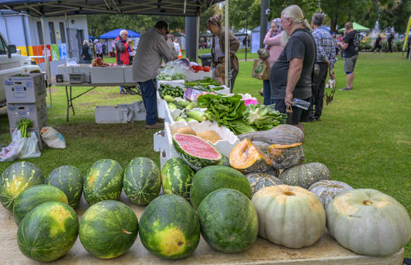 Perfect weather for Homegrown Parkes