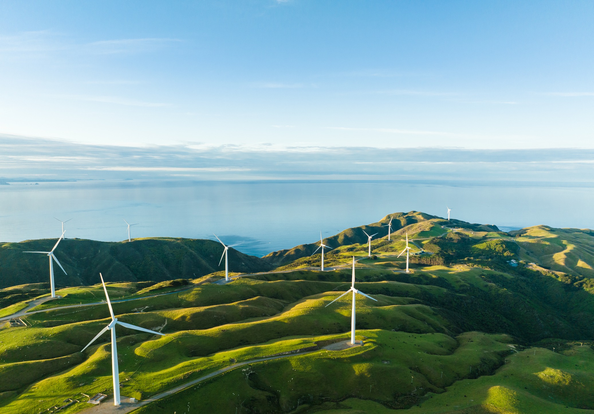 No climate for cricket: how global warming is putting the heat on NZ's  summer game