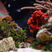 Video: An Ocean Film