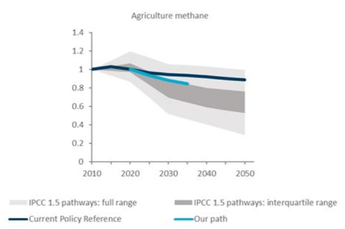 Climate Transformation that Sticks | Newsroom