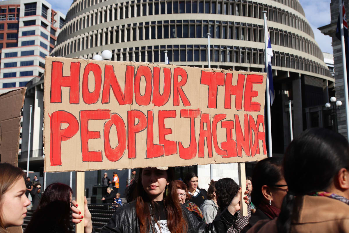 Protesters rally at Parliament in support of the Ihumātao land rights disputes. Photo: Lynn Grieveson