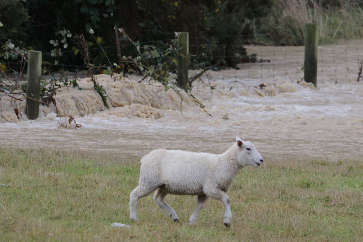 Photo Essay: Canterbury In Flood