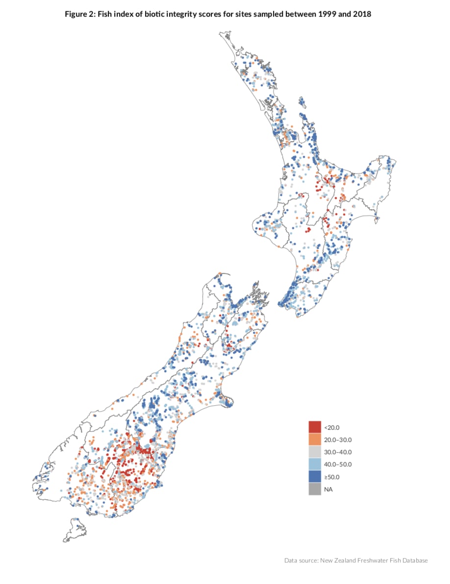 Product-Show  Rivers New Zealand