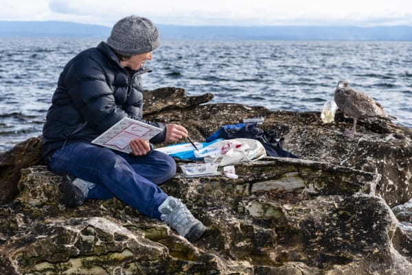 Mel Hills communes with a juvenile Pacific Gull while she paints.