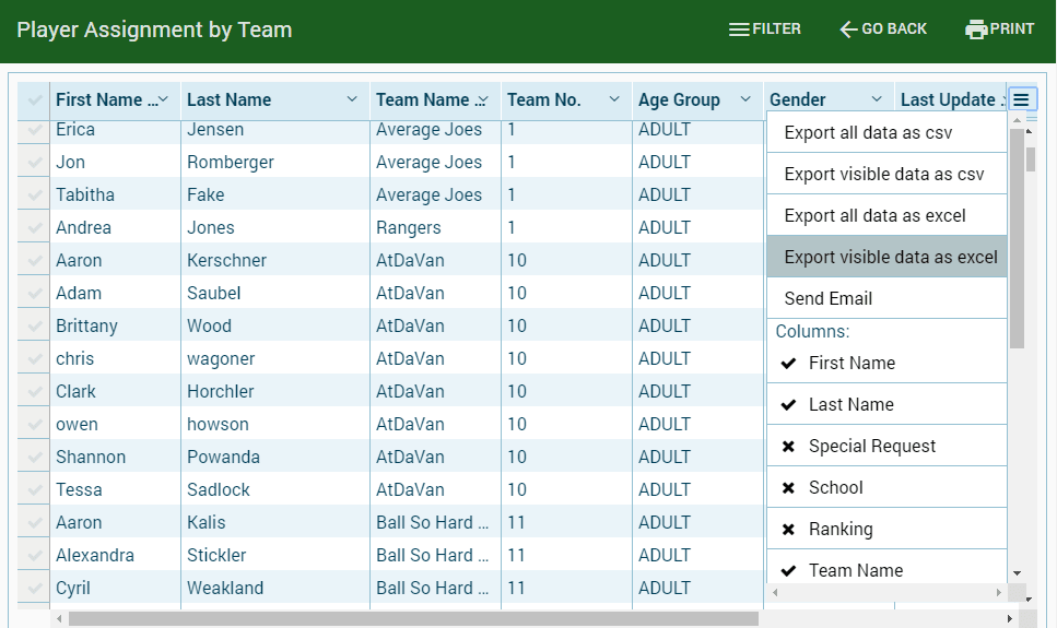 Team report