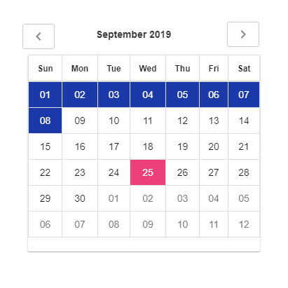 Calendar View