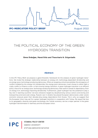 IPC–MERCATOR POLICY BRIEF August 2022 - THE POLITICAL ECONOMY OF THE GREEN HYDROGEN TRANSITION