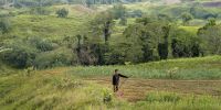 Food System Impacts on Biodiversity Loss