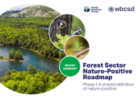 REPORT - Forest Sector SUMMARY Nature-Positive Roadmap - Phase I: A shared definition