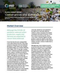 Global Market Report: Cotton prices and sustainability