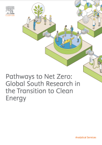Pathways to Net Zero: Global South Research in the Transition to Clean Energy