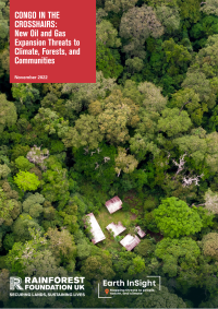Congo in the Crosshairs: New Oil and Gas Expansion Threats to Climate, Forests, and Communities