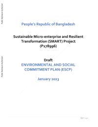 Stakeholder Engagement Plan (SEP) - Sustainable Microenterprise and Resilient Transformation (SMART) - P178996 (English)