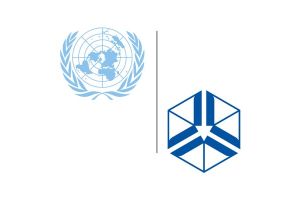United Nations University World Institute for Development Economics Research