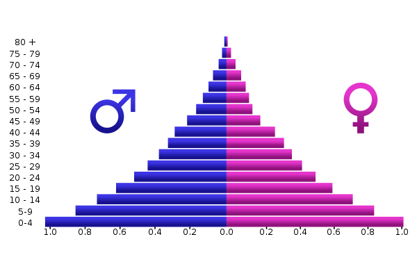 Age Distribution Policy Commons