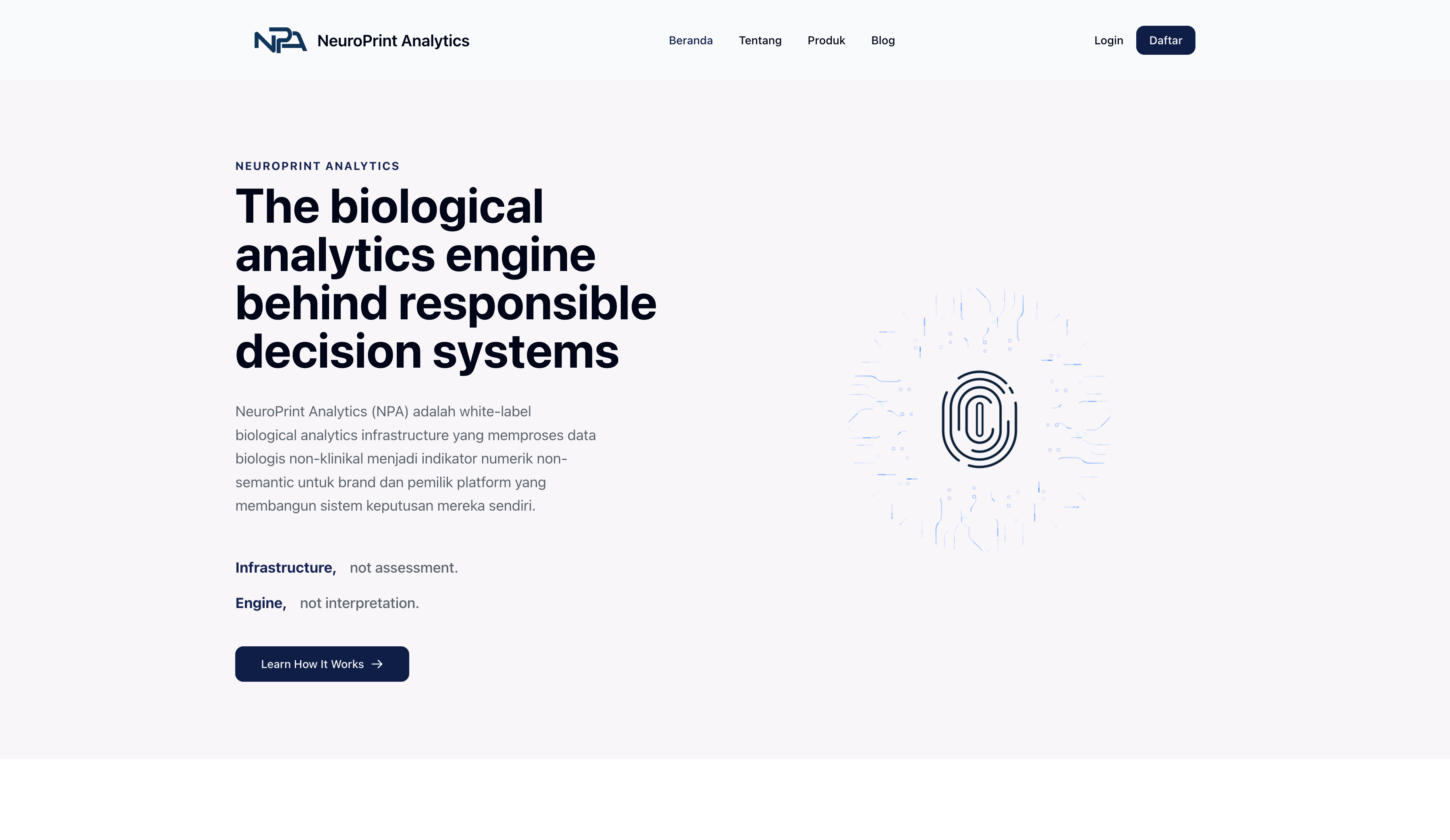 NPA - NeuroPrint Analytics