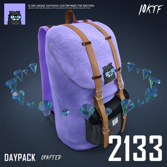 NFT called Moonbird Daypack #2133