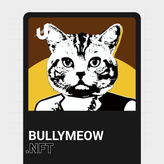 NFT called bullymeow.nft