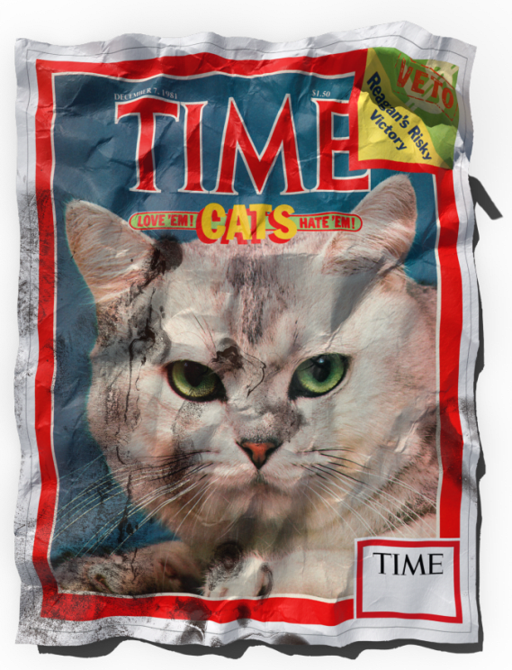 NFT called TIME Cats Love 'em! Hate 'em! - December 7th, 1981